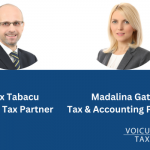 The Controversial Tax Perspective on the Mandatory Use of Logbooks